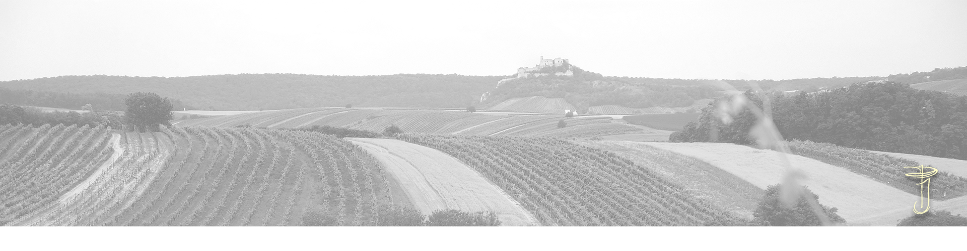 Headergrafik Weingut